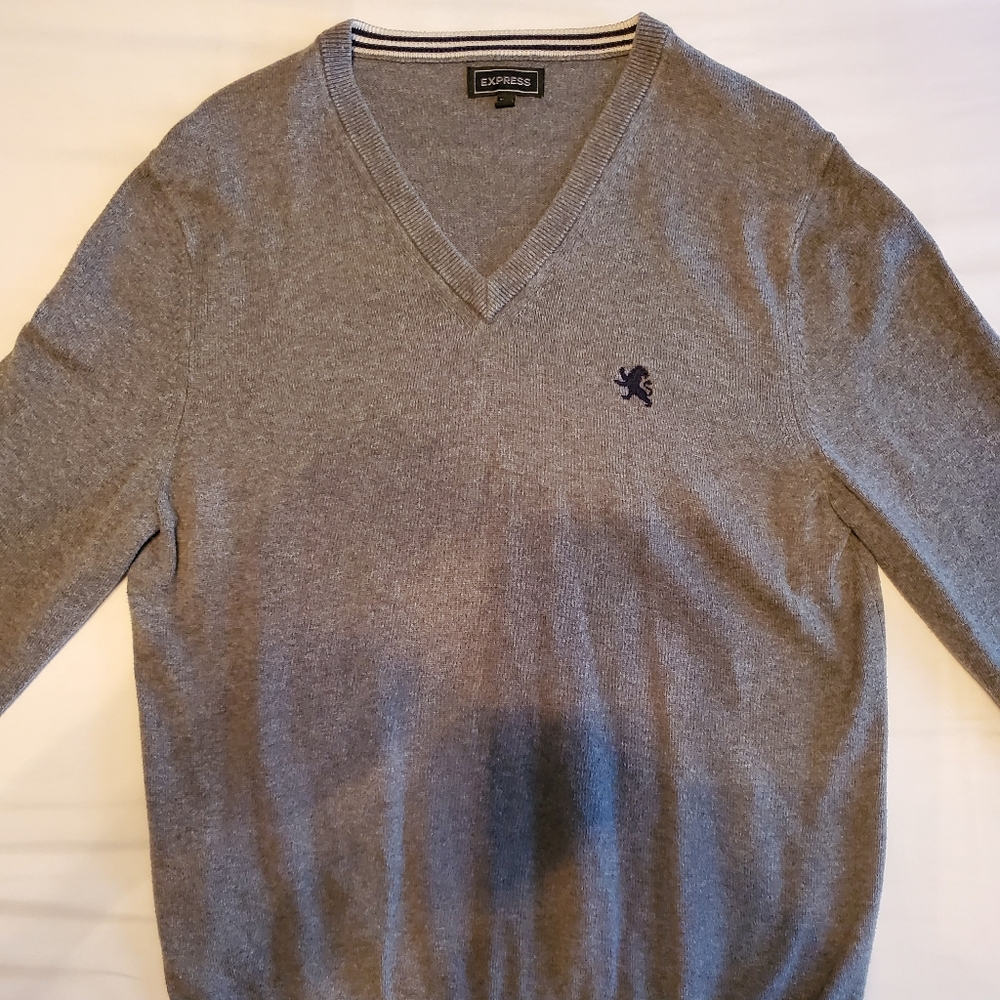 Express Mens V-Neck Sweater Size L